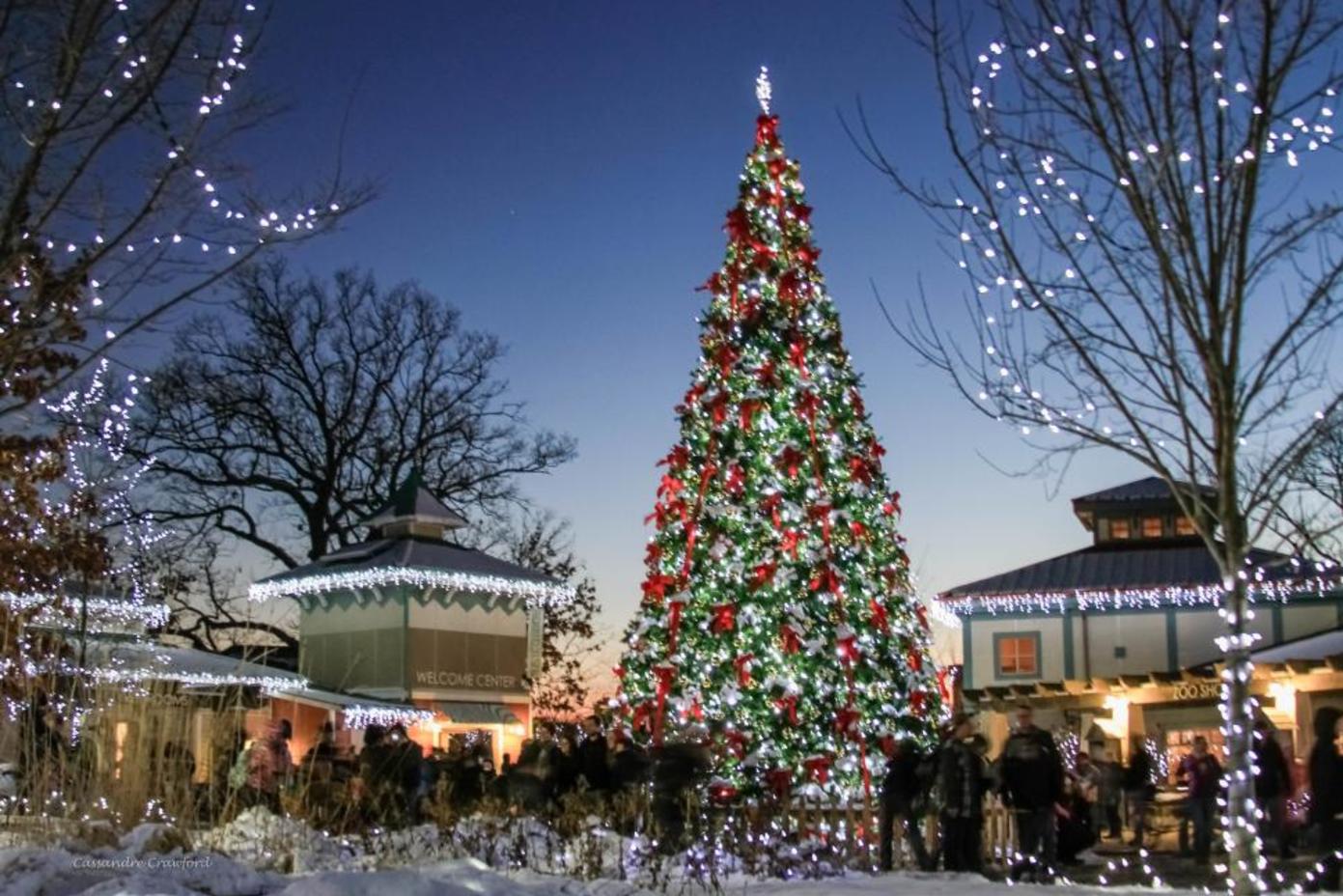 PNC Festival of Lights at Cincinnati Zoo & Botanical Garden (photo: Cassandra Crawford)