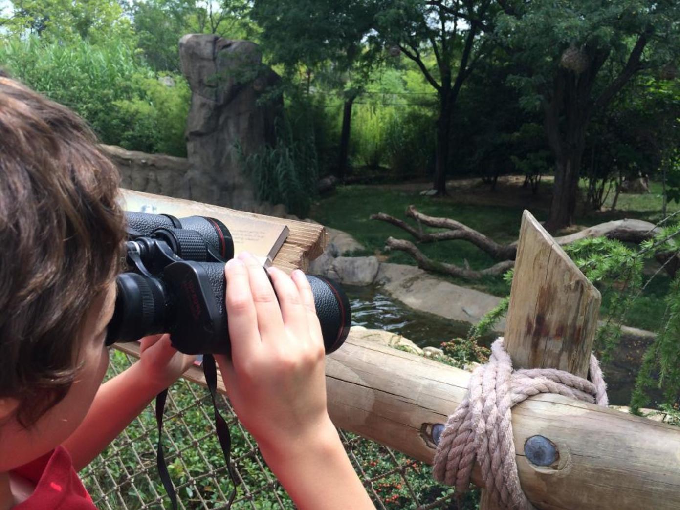 Cincinnati Zoo & Botanical Garden (photo: Shannan Boyer)