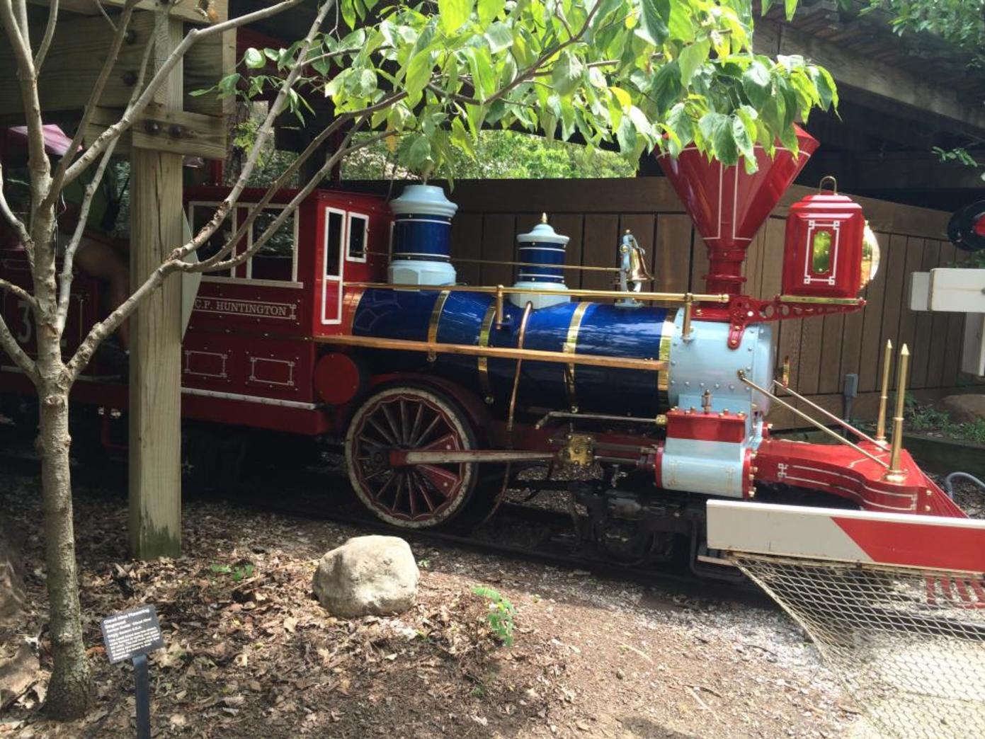 Cincinnati Zoo Train (photo: Shannan Boyer)