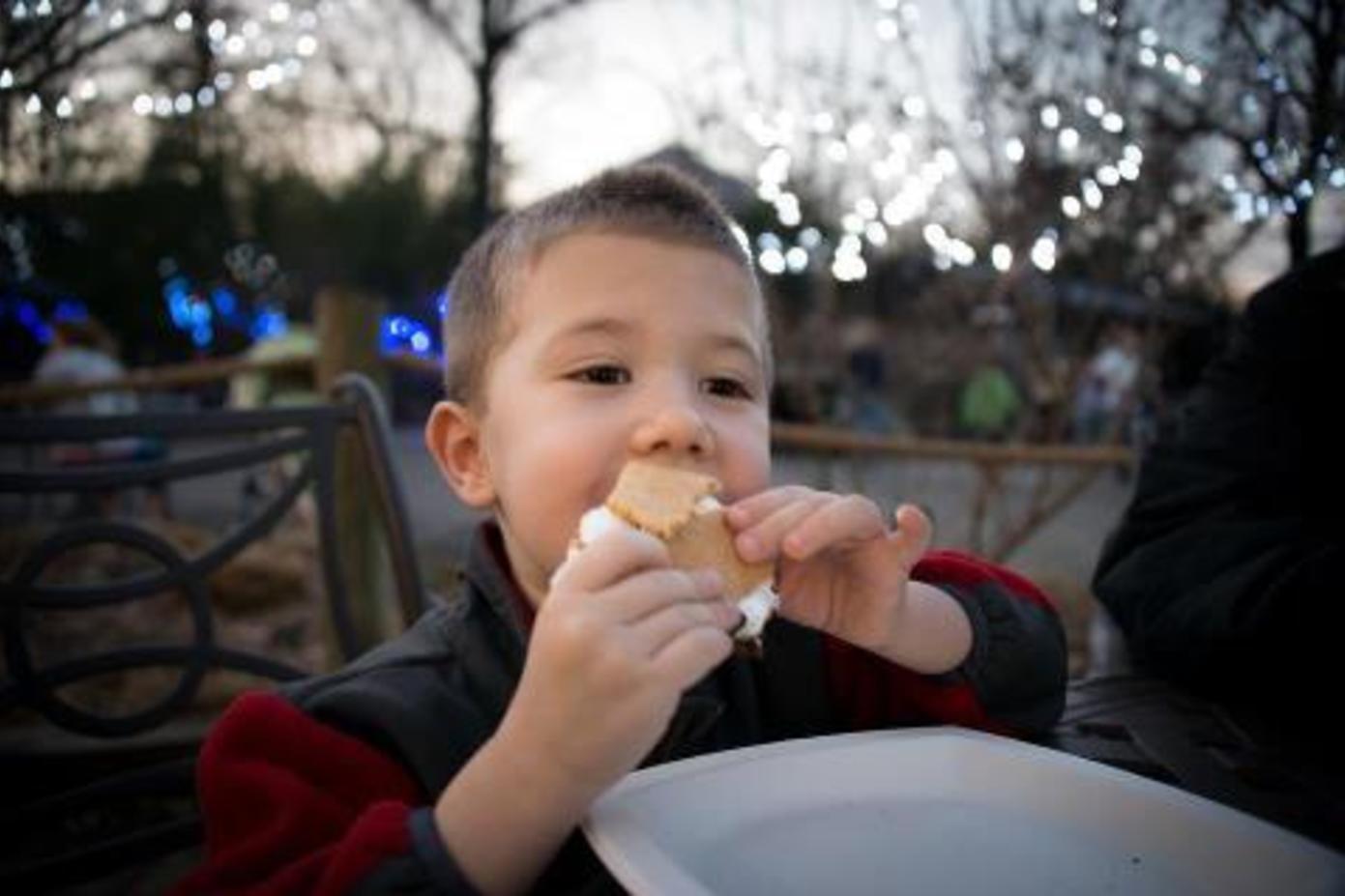 S’mores-N-More Station at Festival of Lights at Cincinnati Zoo