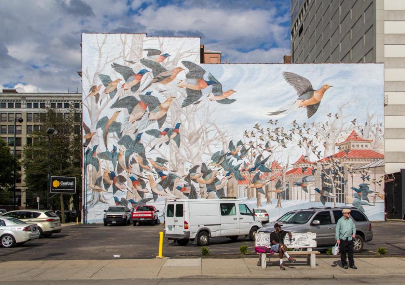 Martha the Last Passenger Pigeon - Mural (photo: Ronald M. Salerno)