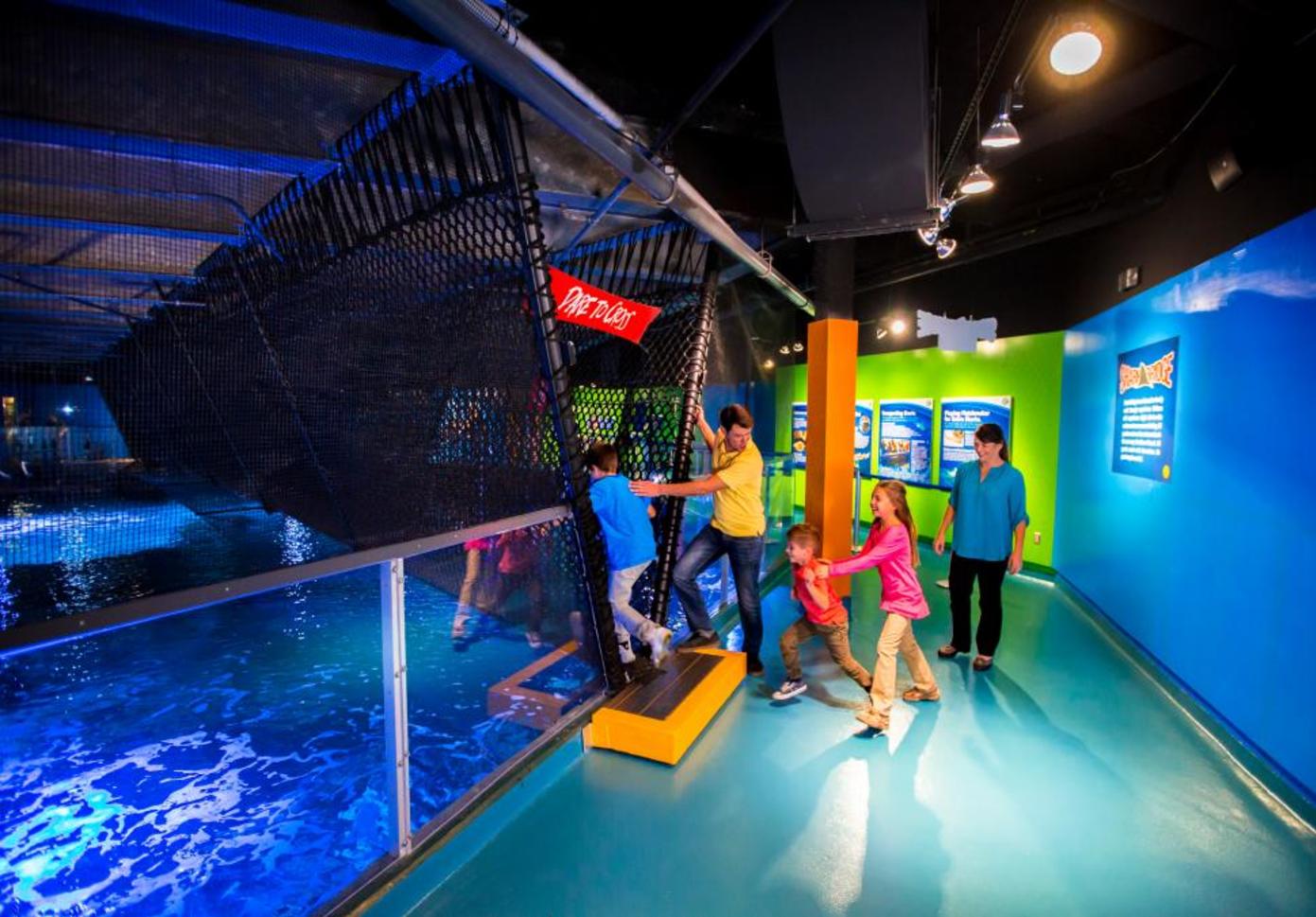 Shark Bridge, Newport Aquarium Shark Bridge, Newport Aquarium