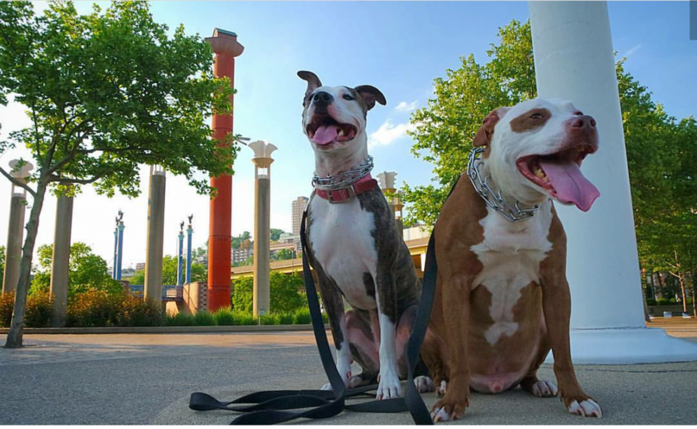 Tyson and Liddy at Theodore M. Berry International Friendship Park (photo: Eric Vice)