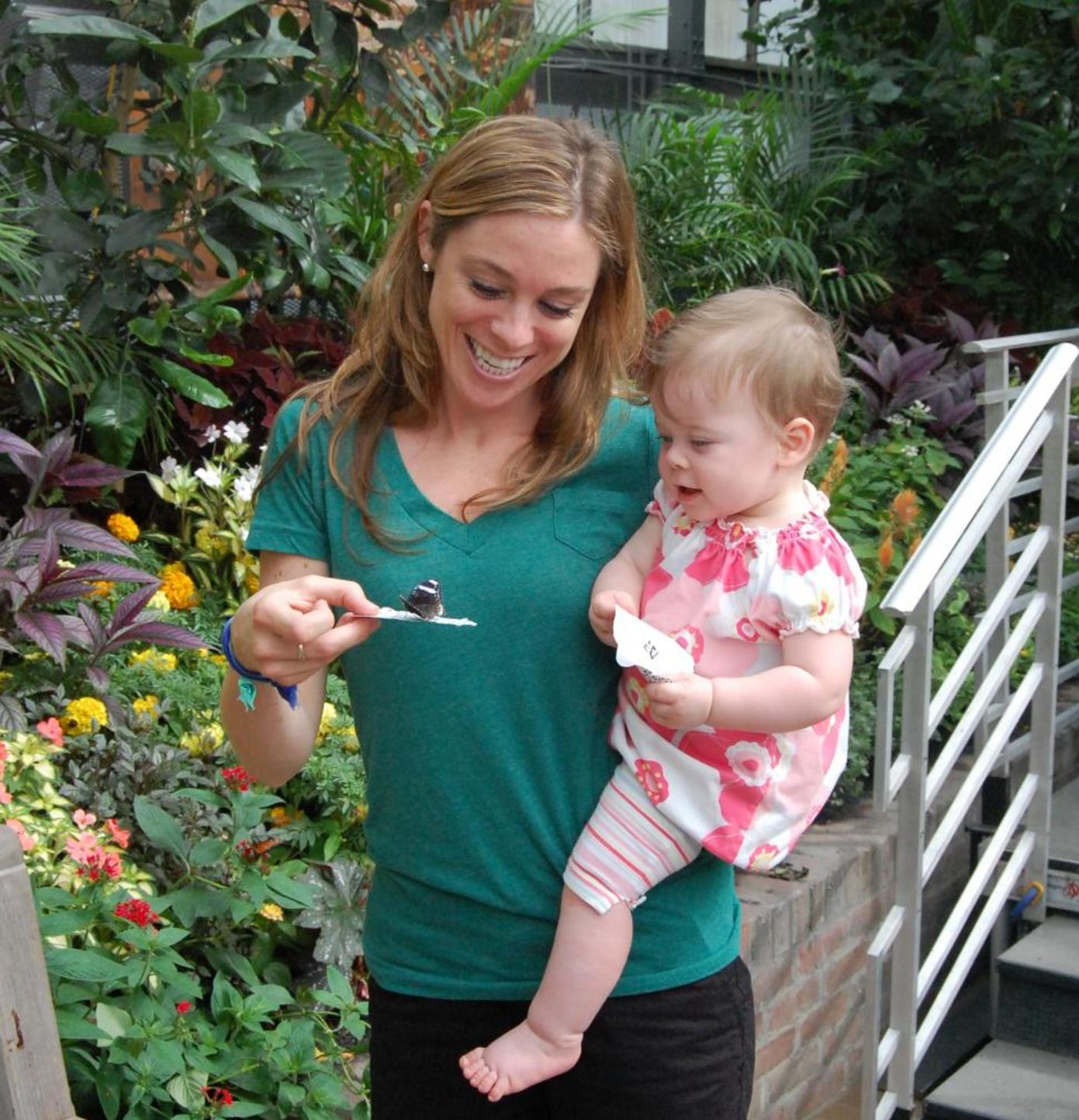 International Butterfly Show