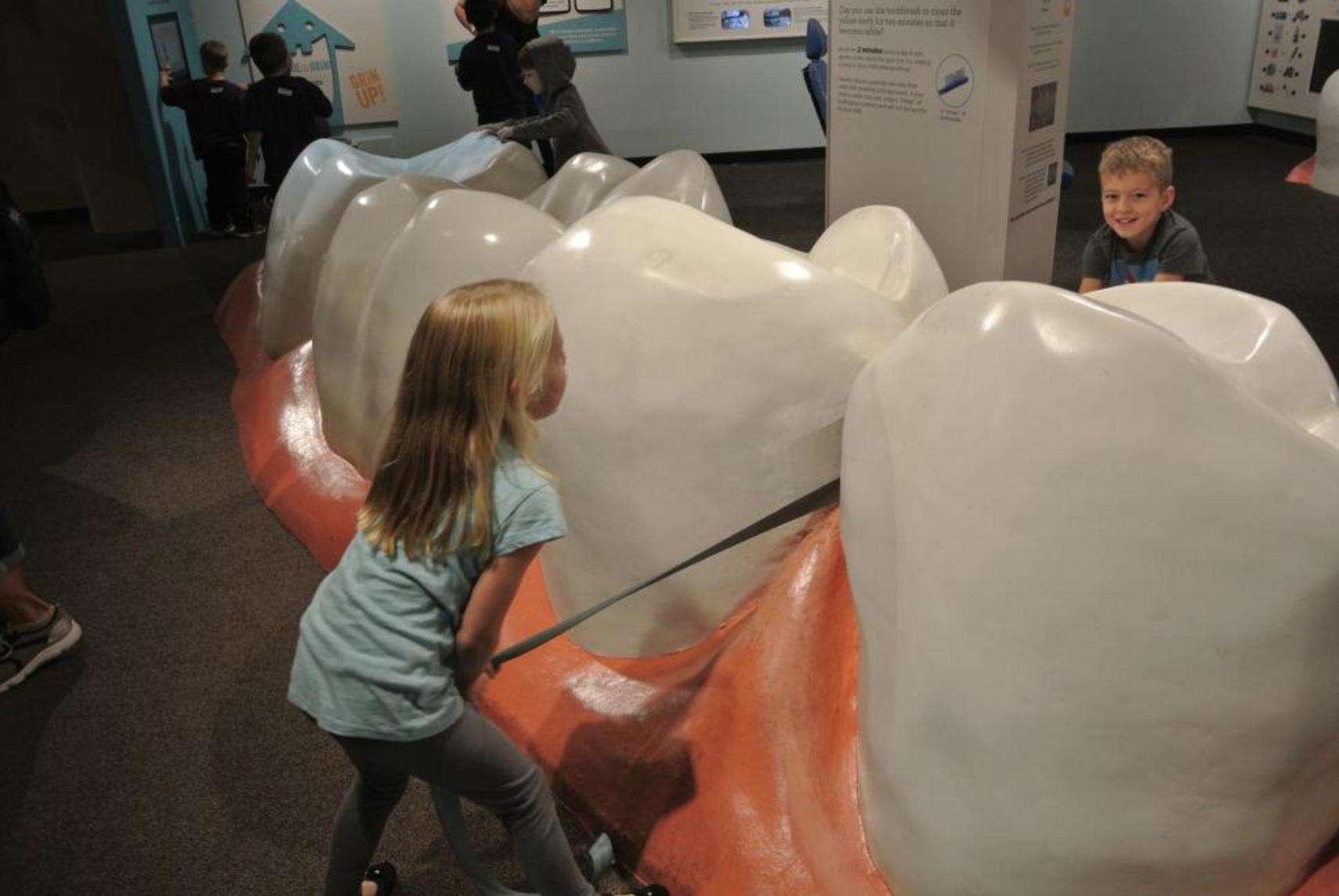 Duke Energy Children's Museum "Inside the Grin" (photo: Laura Hoevener)