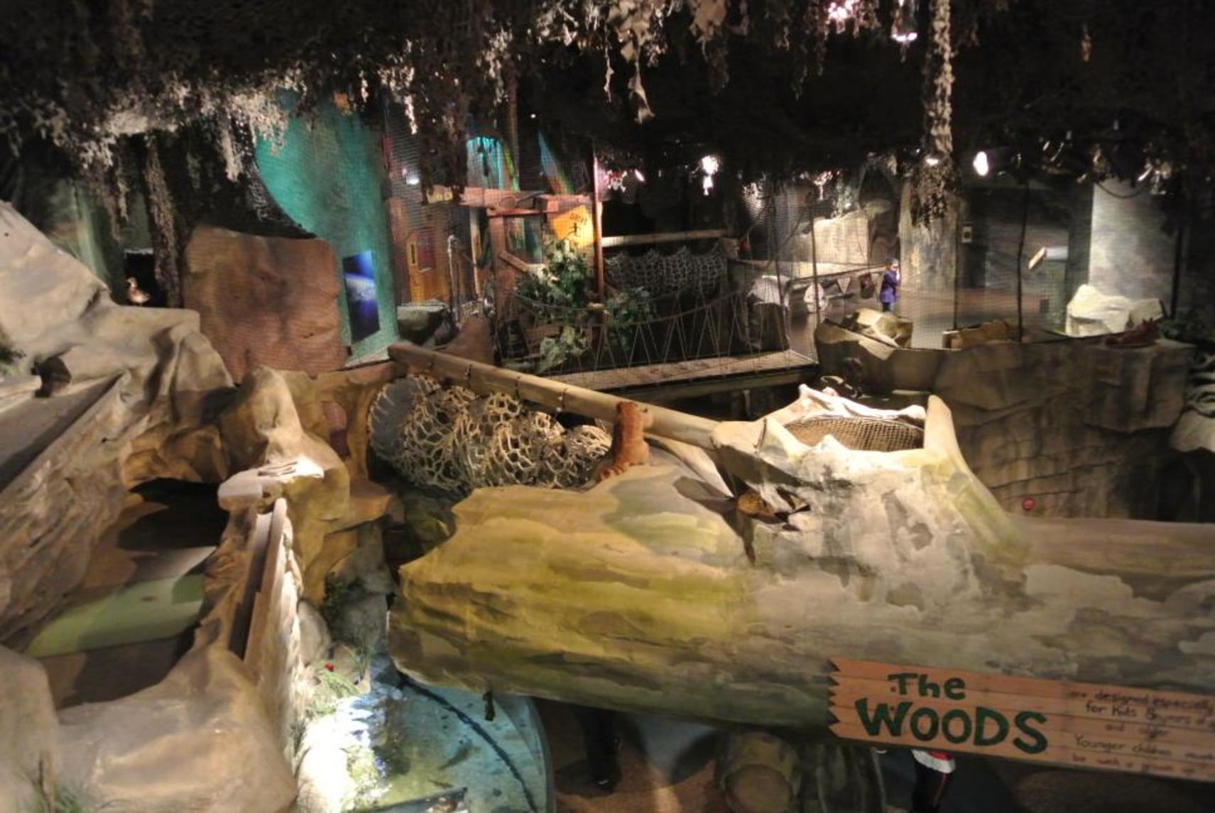 Duke Energy Children's Museum "The Woods" (photo: Laura Hoevener)