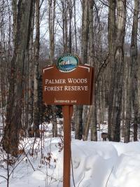 Palmer Woods Forest Preserve