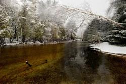 Crystal River (source: VisitGlenArbor.com)