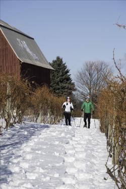 Snowing in Leelanau (source: Leelanau Peninsula Chamber of Commerce)