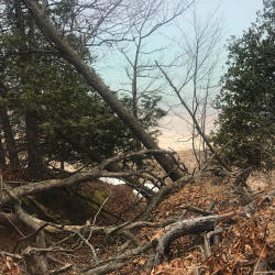 Riparian Vegetation Sleeping Bear Dunes