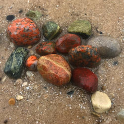 Beach Stones