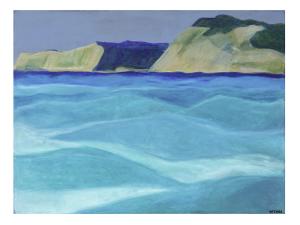 Costal Sol giclee - Morgan Fisher
