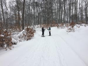 Snowshoeing the Palmer Woods Preserve Trail