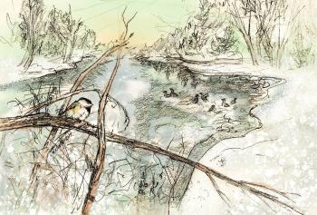 Chicadee Illustration by Holly N. Wright