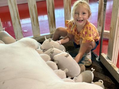 Child playing with farm animals at the Terre Haute Children's Museum