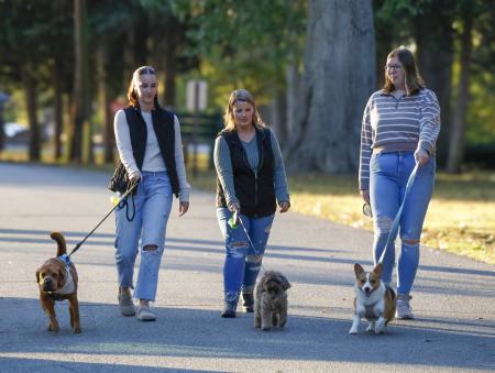 Dog walking at Deming Park