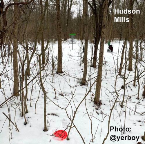 Winter Disc Golf in Hudson Mills, Ann Arbor