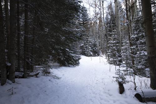 Skiing trailhead in the Medicine Bow National Forest