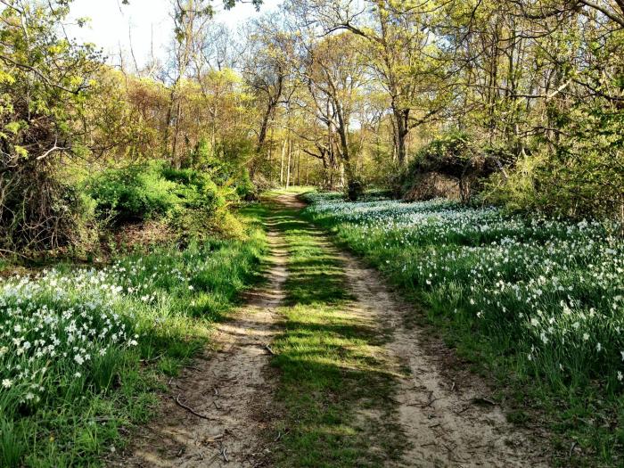 caumsett state park