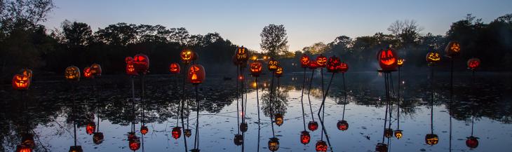 Jack O Lantern Spectacular 2019 In Providence Oct 3 Nov 3