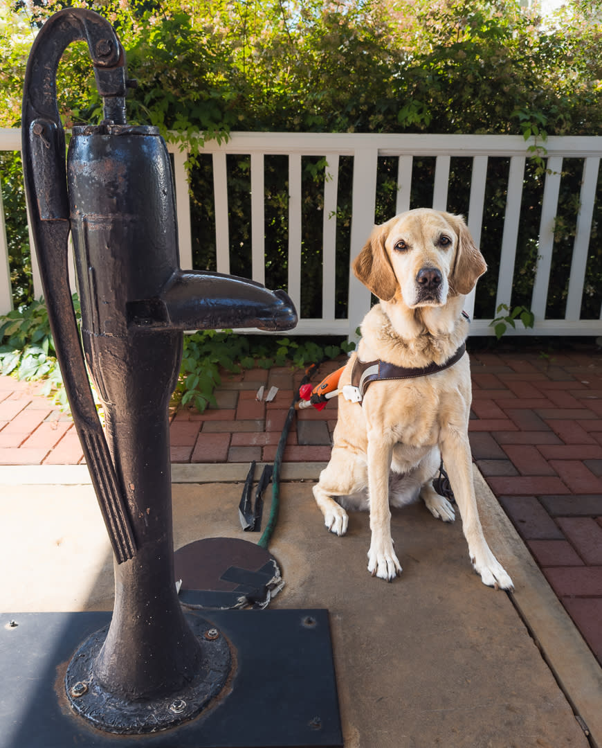 Splendid by the pump