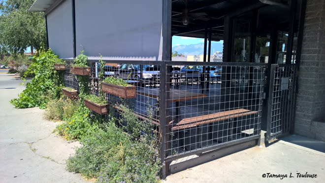 Patio at Tractor Brewery in Nob Hill in Albuquerque