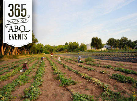 Meet the Farmer Workshop: Seeds - VisitAlbuquerque.org