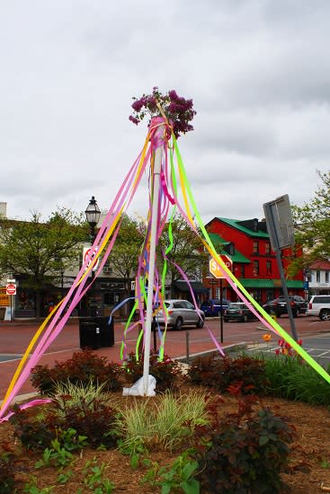 The Power of Flowers Returns to Annapolis