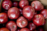 Apples