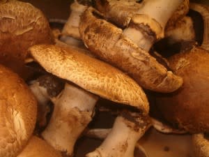 Creamy Portobello Mushroom Soup Recipe