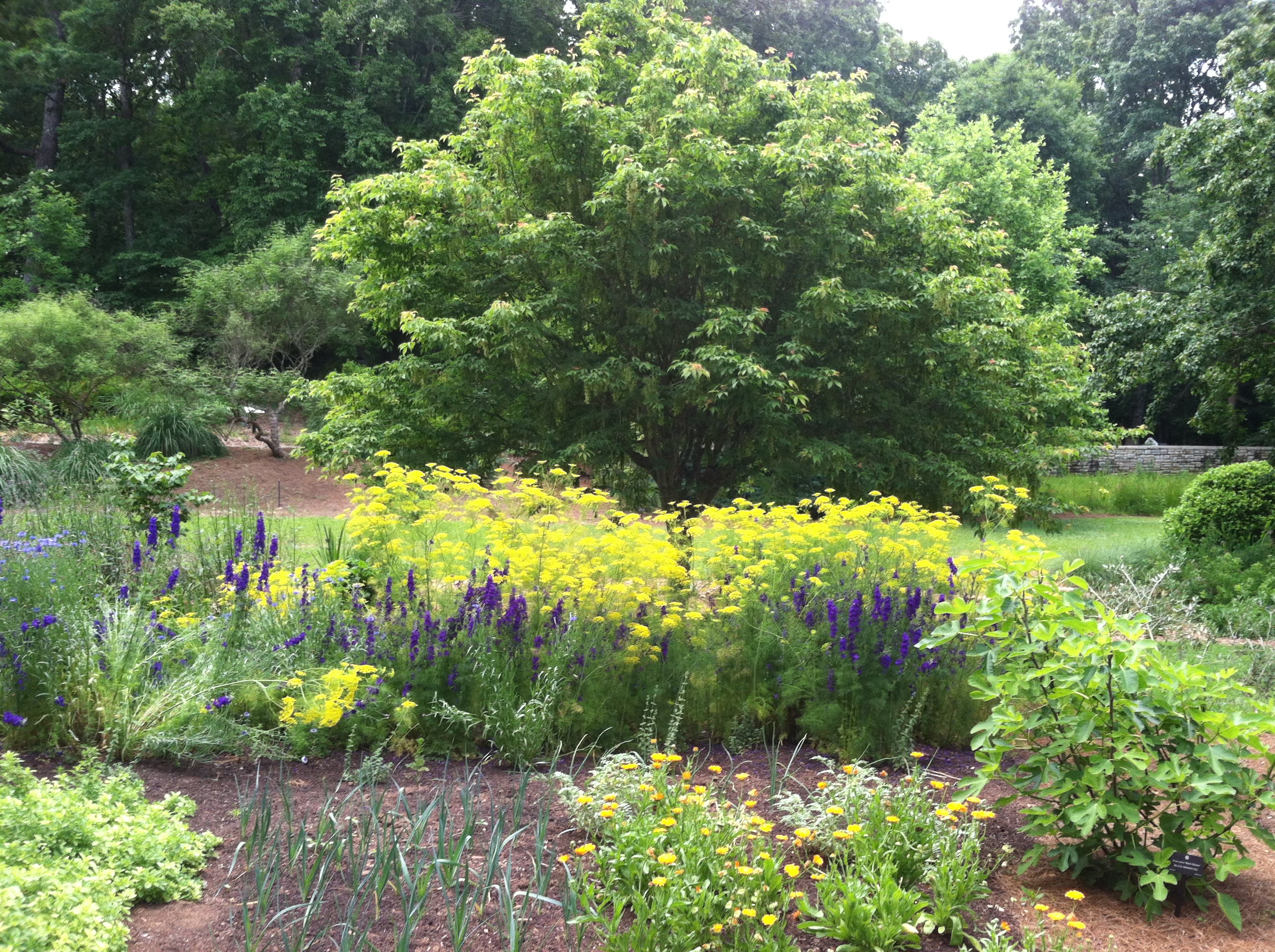 State Botanical Garden