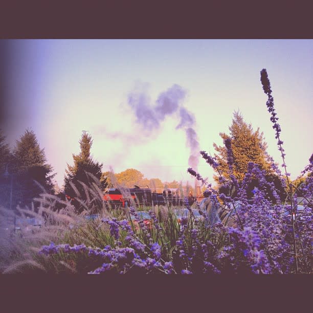 Captured by Instagram User @meemu88