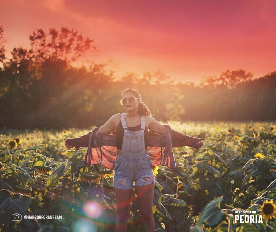 Illinois Insta Spots