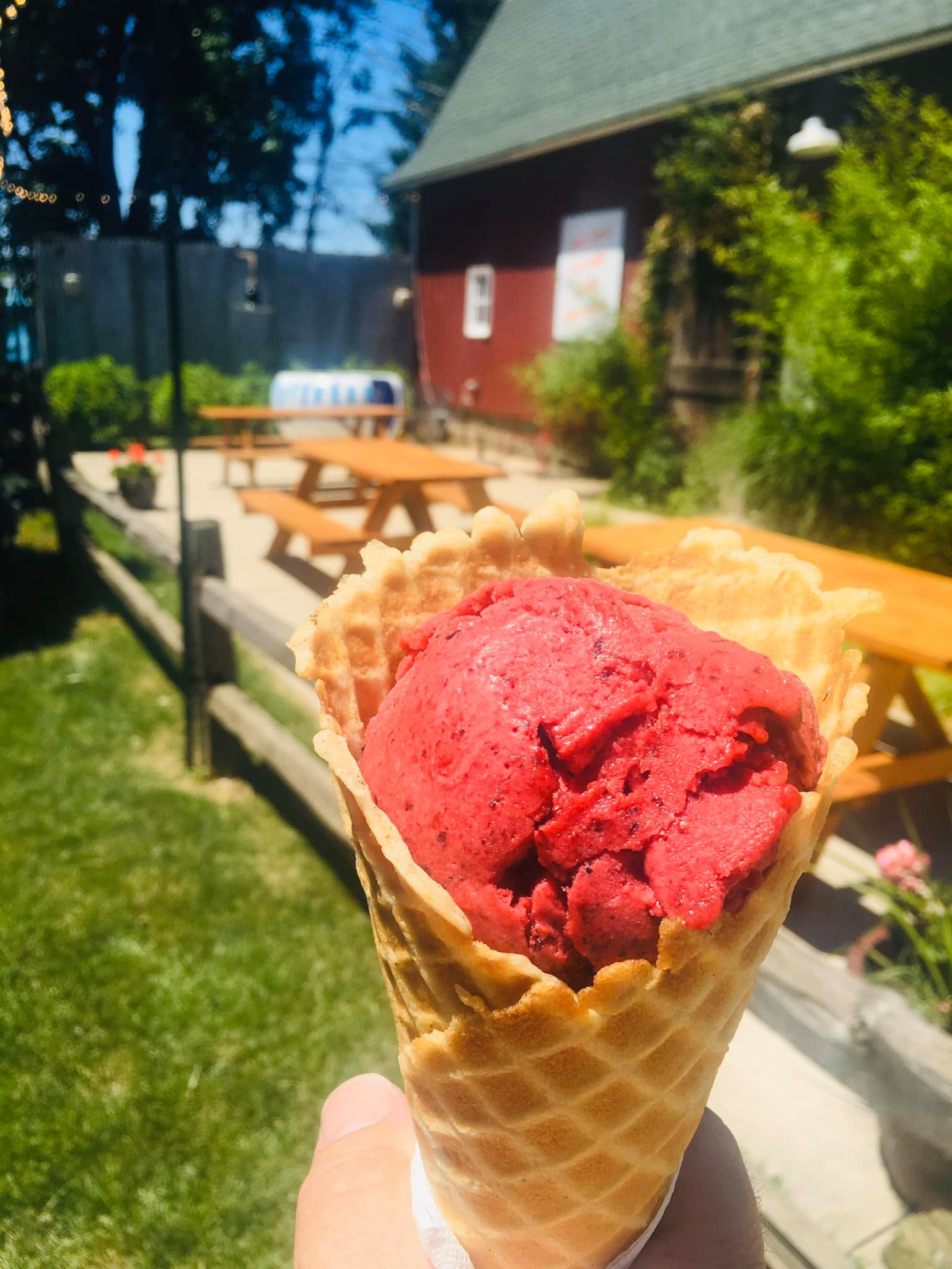 Top Ice Cream Spots in Illinois - Explore Elgin