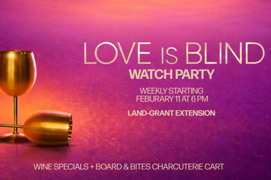 Love is Blind - LiB - 3x2 - Land-Grant Watch Parties
