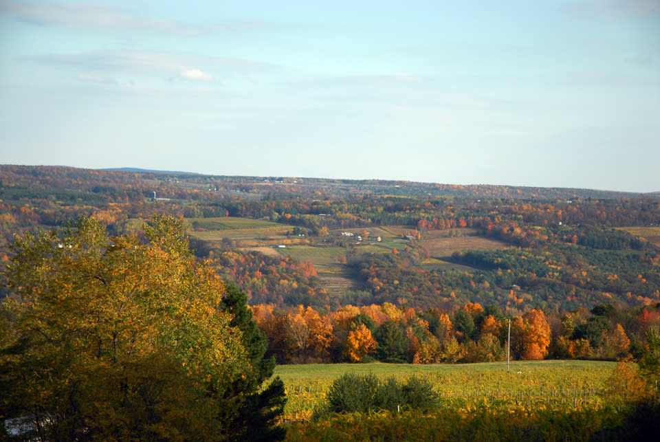 Fall in Corning and the Southern Finger Lakes