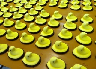Chocolate Dipped Peeps