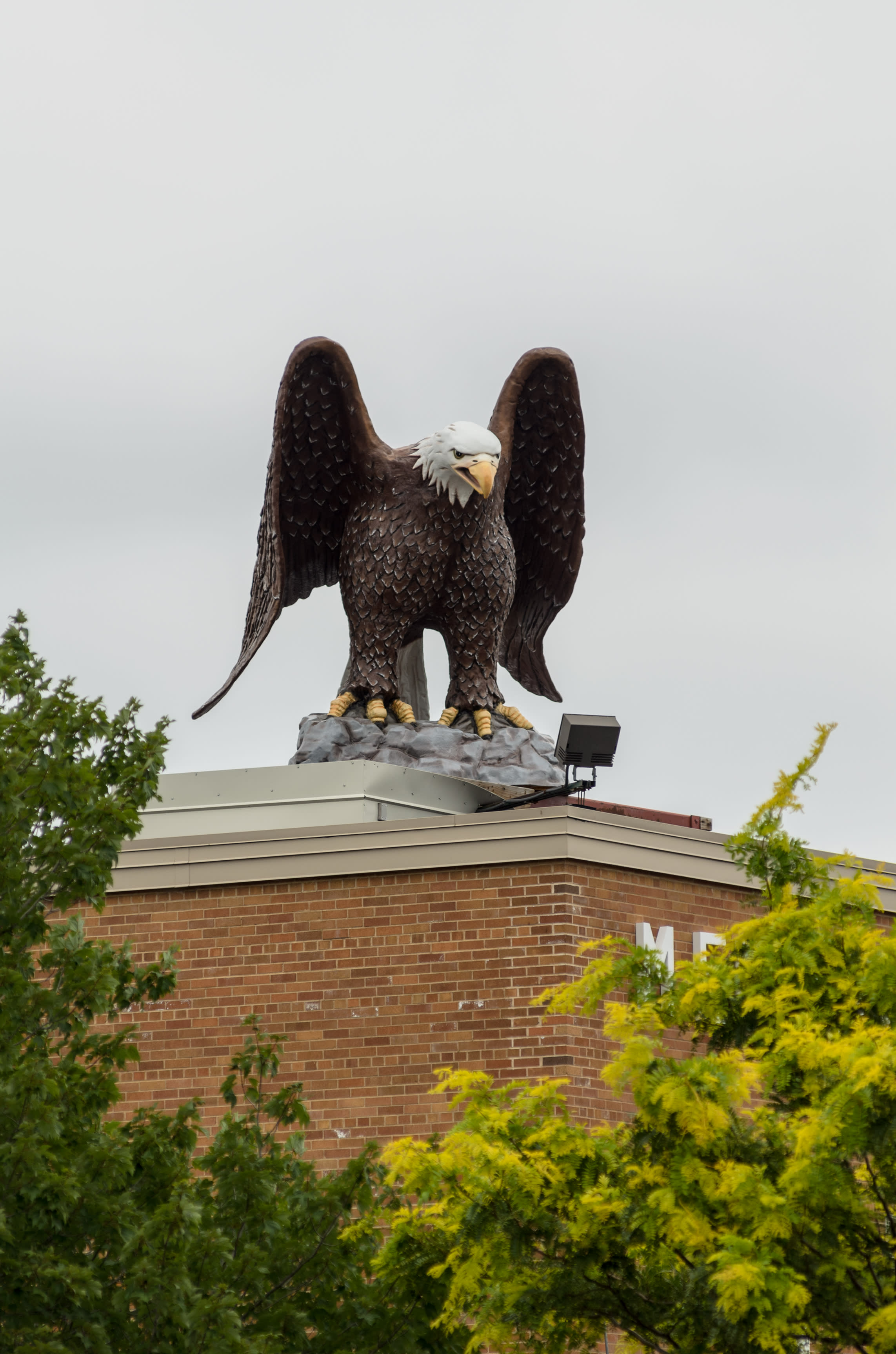 Old Abe Wisconsin's War Eagle - Wisconsin Veterans Museum