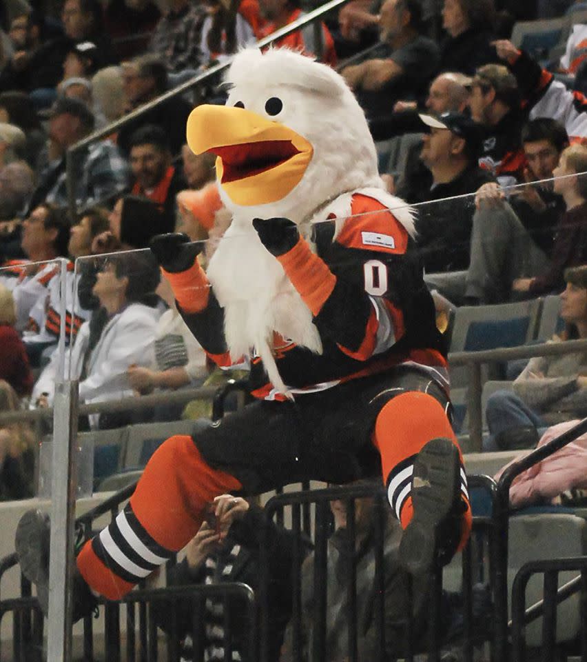 Join Icy, the Komets beloved mascot, in cheering on the Komets each game!