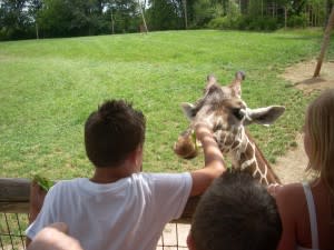 FW zoo giraffe 07-13