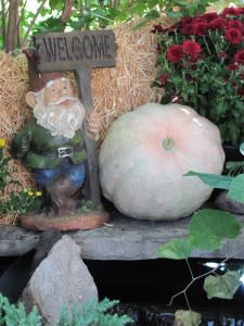 Here's a friendly little gnome, welcoming visitor's to the Botanical Conservatory' Punkin Path!