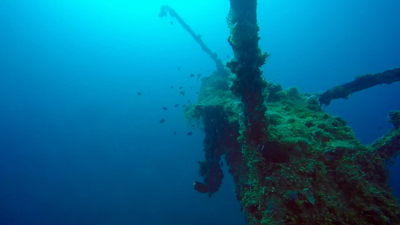 Diving-03