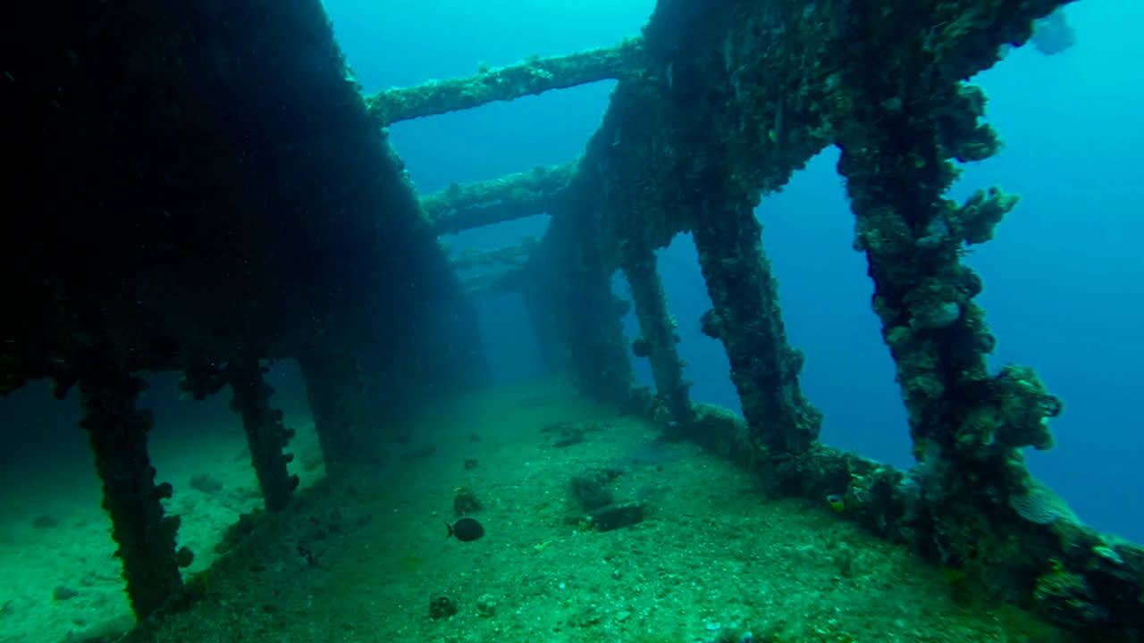 Tokai Gangway