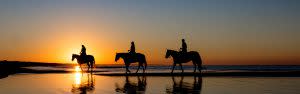 Three people riding horses on the beach