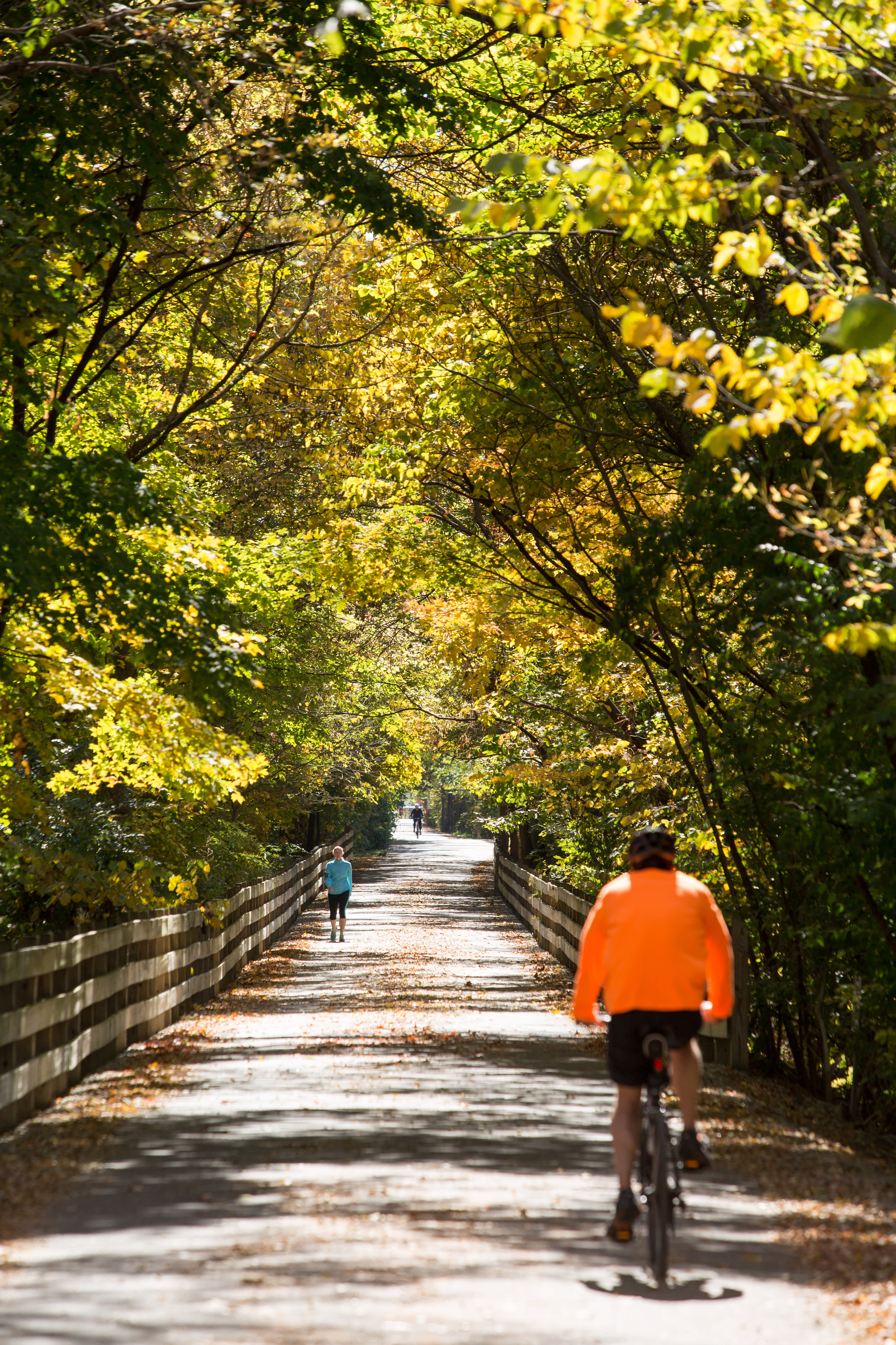 monon
