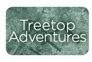 Treetop Adventures