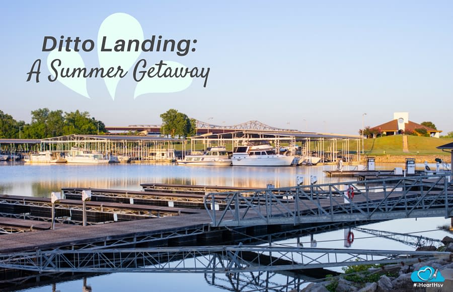 Ditto Landing BLOG GRAPHICSLIDER