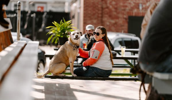 Fountain Square Brewing Company, dog