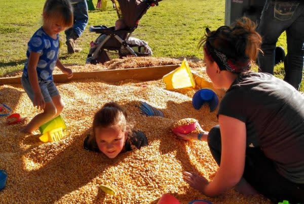 corn-box-amazing-fall-fun-corn-maze-waterloo