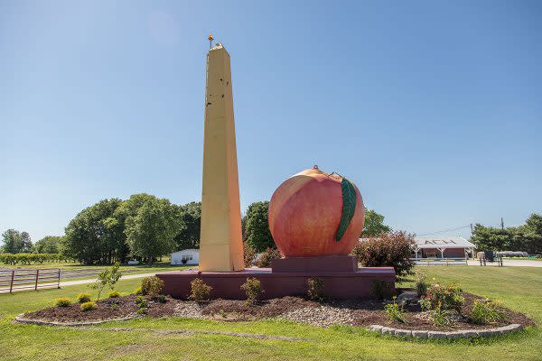 Giant Peach, Bruceville